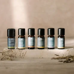 Bergamotteätherisches Öl 10 ml