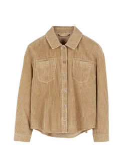 Blusenjacke Cord aus Bio-Baumwolle(weizen, 36)