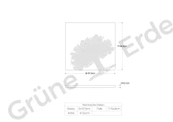 Kleiderschrank TensoFachbrett (Eiche)