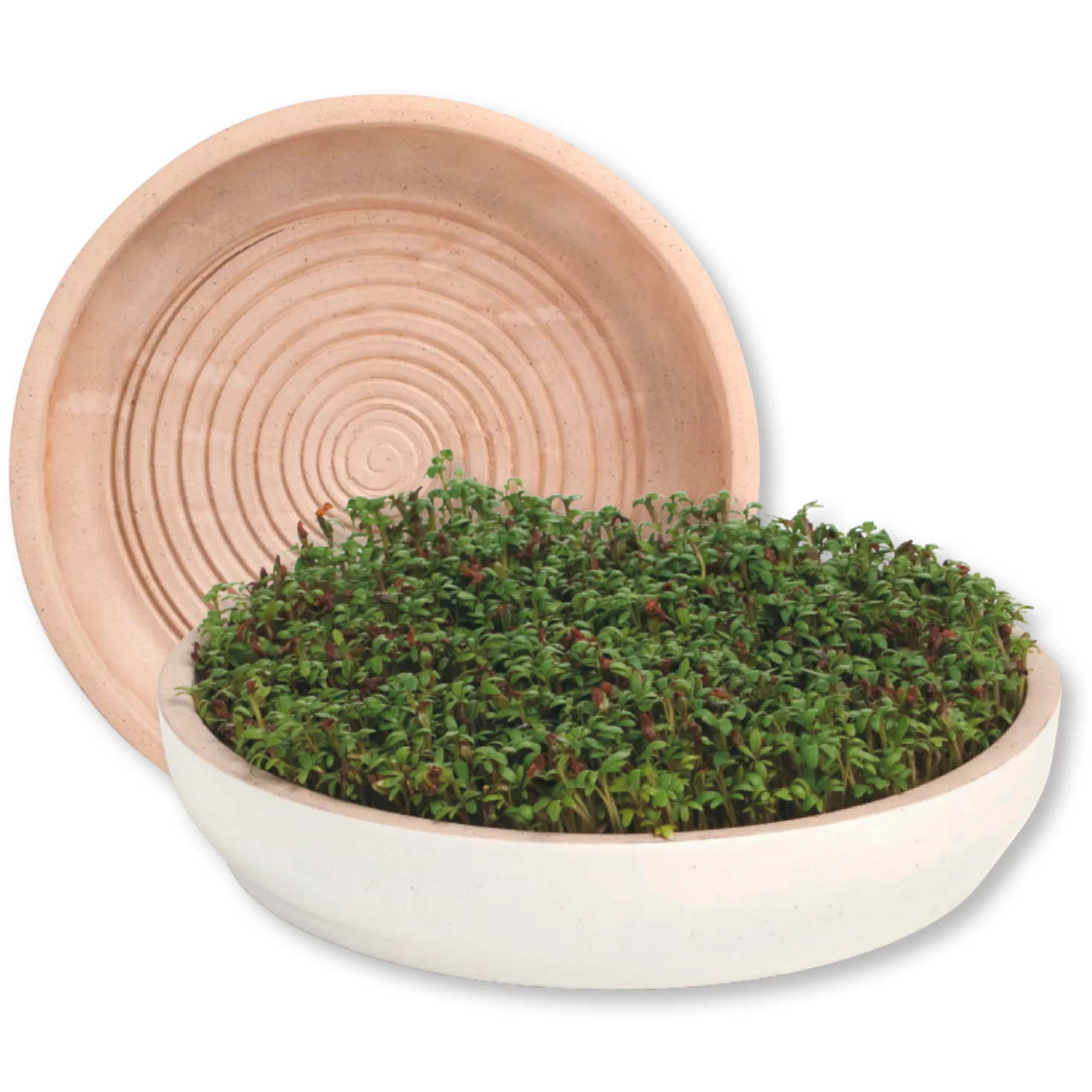 Kresseteller aus weißem TerracottaH 4 cm, ø 17 cm