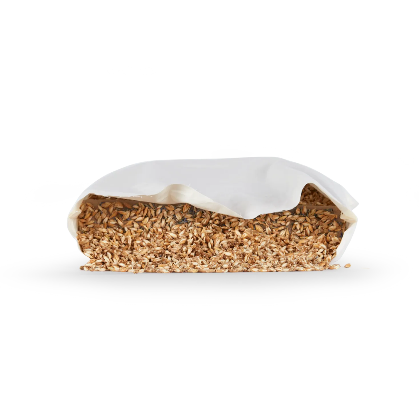 Schlafkissen "Das Anpassungsfähige Pur"Dinkel, VEGAN (40 x 60 cm)