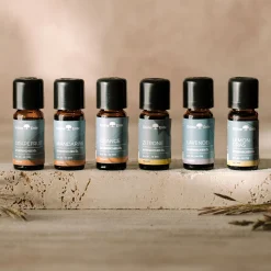 Zitroneätherisches Öl 10 ml
